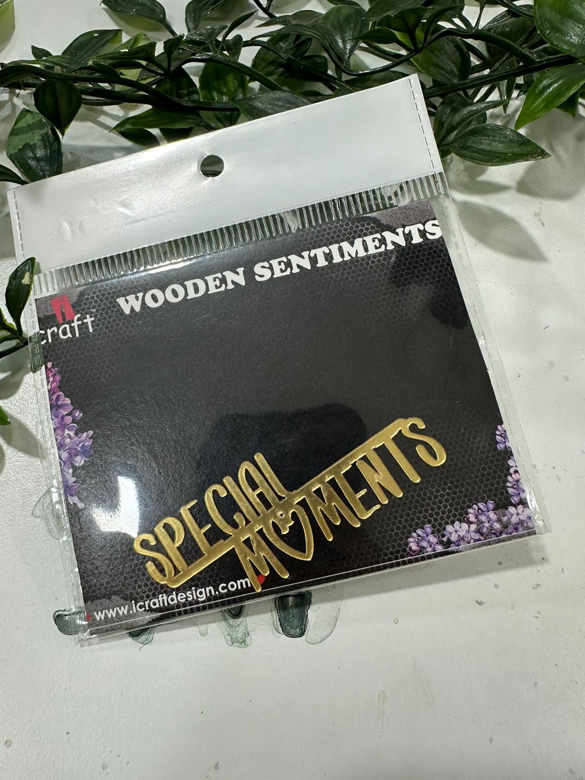 iCraft Acrylic Embellishment- AE 3