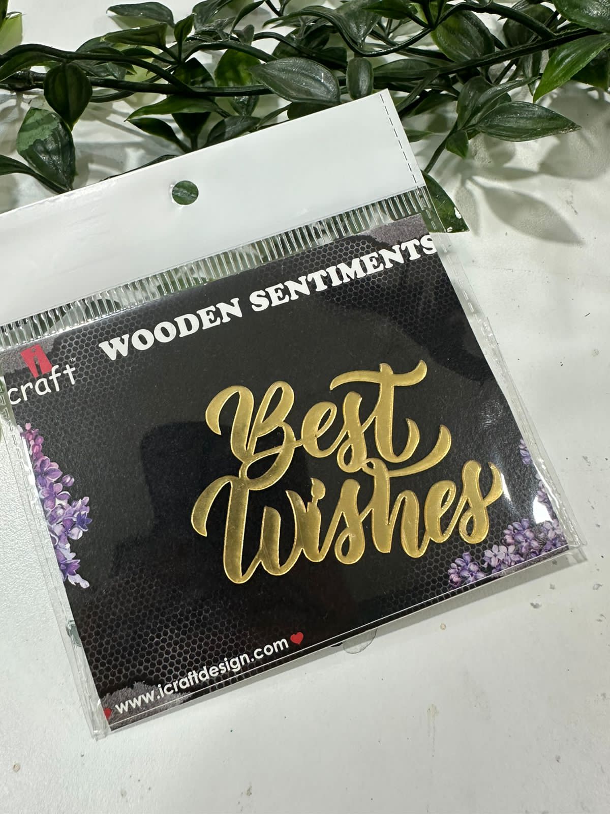 iCraft Acrylic Embellishment- AE 4