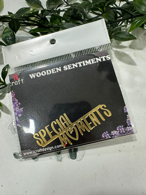 iCraft Acrylic Embellishment- AE 3