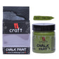 iCraft Premium Chalk Paint - Smooth, Creamy & Non-Toxic - Ideal for DIY & Resin Projects-100ml Palm Tree