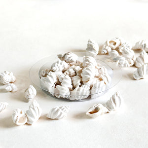 Premium Sea Shells for Artistic Creations - Elevate Your Craft Projects- Shells 10