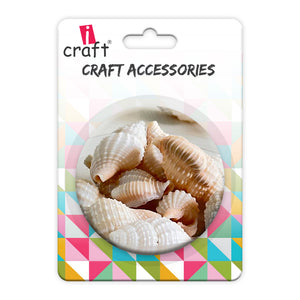 Premium Sea Shells for Artistic Creations - Elevate Your Craft Projects- Shells 2