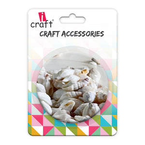 Premium Sea Shells for Artistic Creations - Elevate Your Craft Projects- Shells 3