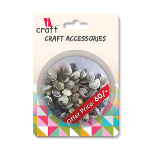 Premium Sea Shells for Artistic Creations - Elevate Your Craft Projects- Shells 4