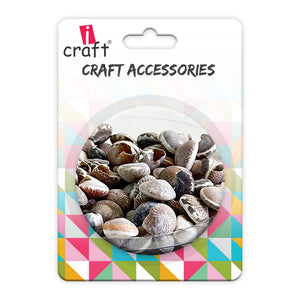 Premium Sea Shells for Artistic Creations - Elevate Your Craft Projects- Shells 4